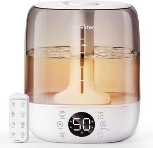 warm mist humidifier